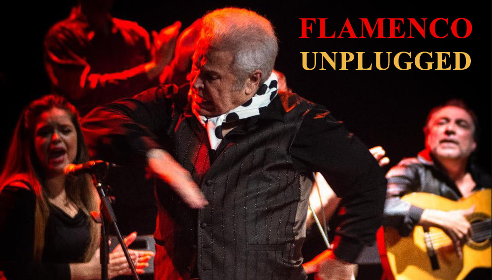Flamenco Unplugged