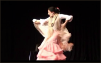 Flamenco por Alegras